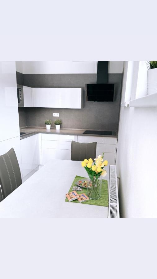 Apartman Monika Lipno nad Vltavou Luaran gambar